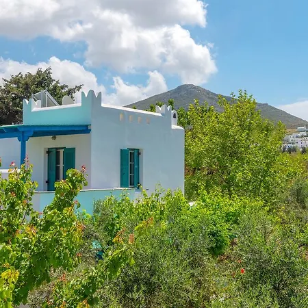 Delona Εγκαρές