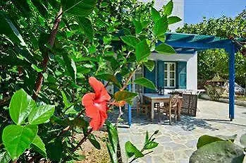 Delona Εγκαρές
